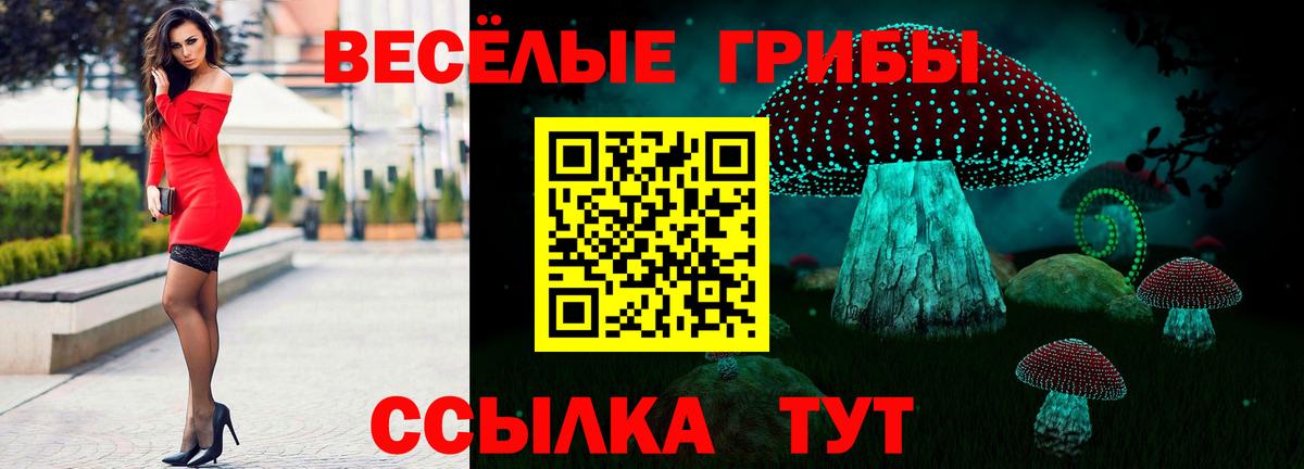 Галлюциногенные грибы GOLDEN TEACHER  Вход с VPN  Малгобек 